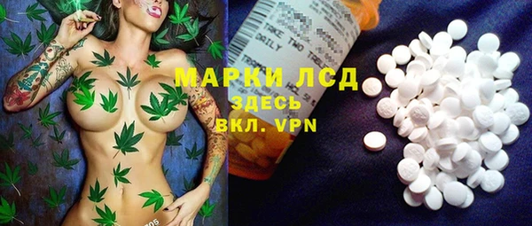 спиды Алзамай
