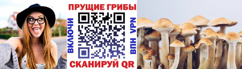 продажа наркотиков  Нюрба  Галлюциногенные грибы ЛСД 